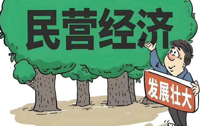 《中华人民共和国民营经济促进法》施行，这些亮点值得关注