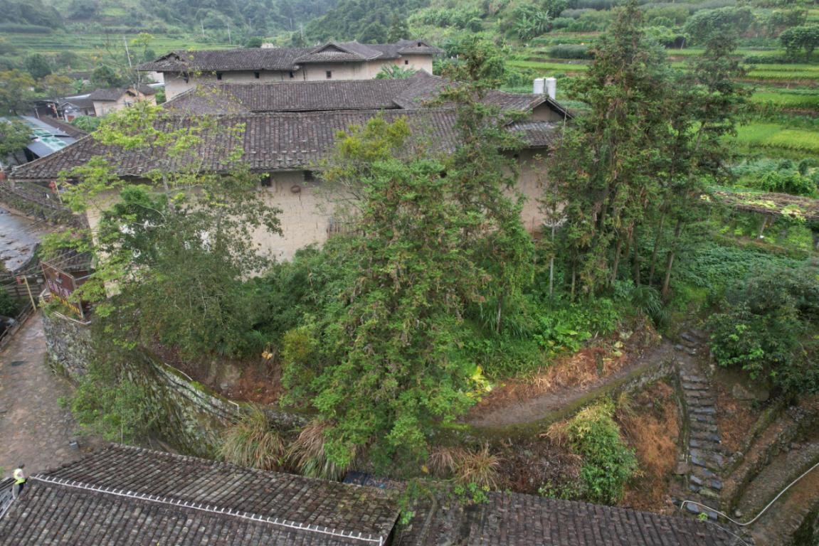 回归村落 记住乡愁 | 书洋镇下版寮村