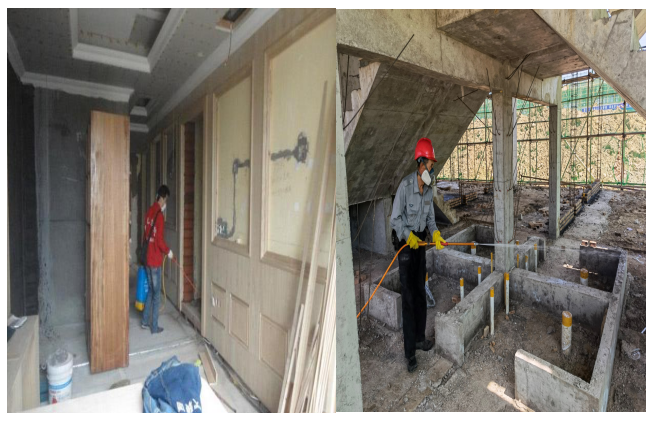 新标准解读 | 城市房屋木作构件白蚁危害预防 新标准解读 | 城市房屋木作构件白蚁危害预防